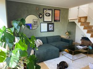 Contemporary and Luxurious