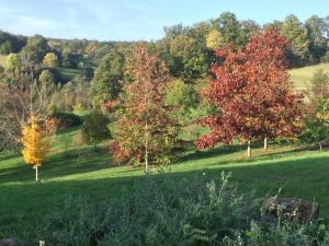 Maisons de vacances Leygat : photos des chambres
