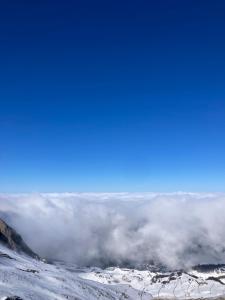 Appartements Nid perche aux Eaux-Bonnes : photos des chambres