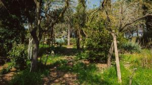 Chalets Superbe chalet en pleine nature : photos des chambres