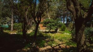Chalets Superbe chalet en pleine nature : photos des chambres