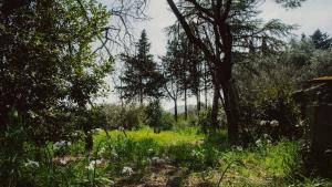 Chalets Superbe chalet en pleine nature : photos des chambres