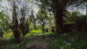 Chalets Superbe chalet en pleine nature : photos des chambres