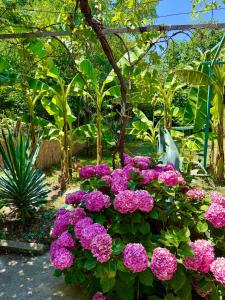 Guest House Yanakievi