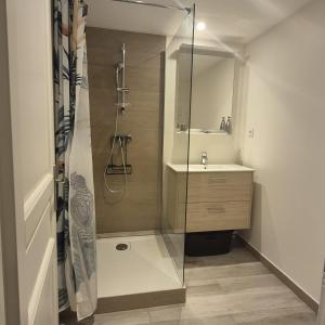 Appartements L-authentique Canetoise ! : Appartement - Rez-de-Chaussée