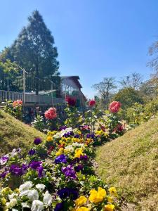 GOOSENECK HOTEL and RESTAURANTS