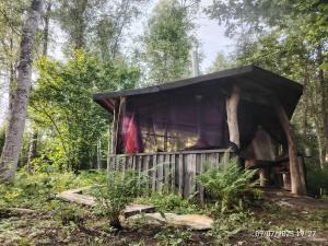Off-grid forest glamping