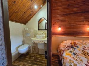 Maisons de vacances Chateau Rouge - petit chateau avec piscine - 8 chambres : photos des chambres