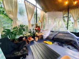 Mây Glamping