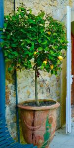 Maisons de vacances Chateau Rouge - petit chateau avec piscine - 8 chambres : photos des chambres