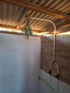 Blouporselein guestfarm cabin