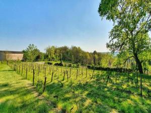 Maisons de vacances Farmhouse with private pool, large garden and playground : photos des chambres