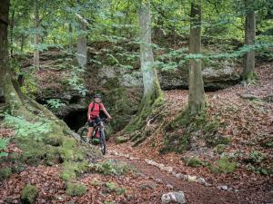 3 Zimmer App Fränkische Schweiz I Miselgau-Obernsees