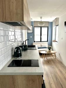 LILLEHOSTS 2, Vieux Lille, Newly renovated, Modern & Stylish apartment, perfectly located