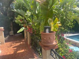 Très beau Studio lumineux dans Villa avec piscine