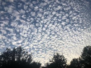 Sejours a la campagne la clairiere : photos des chambres