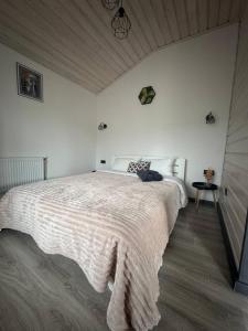 Family House Volosianka