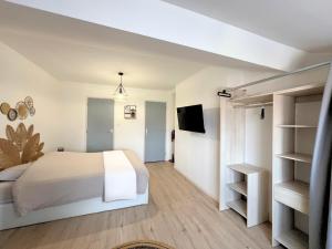 Appartements Maison Hypercentre avec jardin, ideale groupes, 5 chambres 5 salles de bain : photos des chambres