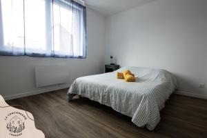Appartements Chez Jean #2 - hyper centre : photos des chambres