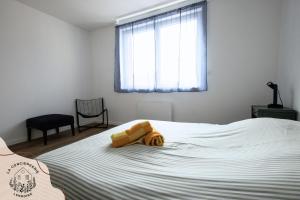Appartements Chez Jean #2 - hyper centre : photos des chambres