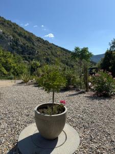 Gites Les Rochers de Plaisians avec piscine privée