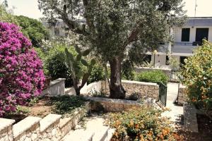 Appartamenti immersi nel verde