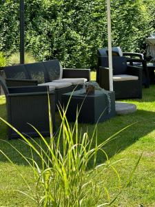 Kokosek Pokoje Gościnne