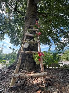 Csíki Határ Fogadó Hanul Hotarul Ciucului
