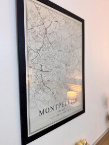 Le Havre de paix Montpelliérain - terrasse et parking privé