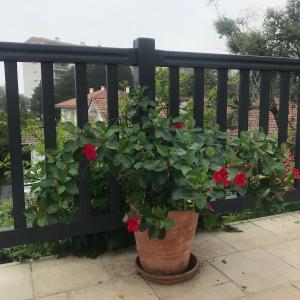 Appartements Grand appartement a Anglet : photos des chambres