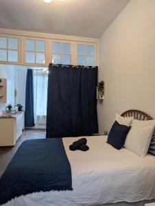 Appartements Barbieux Charmant studio au pied du metro : photos des chambres