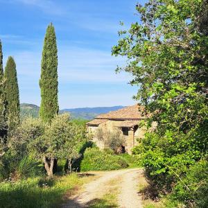 Medieval Tower With Tuscan Hills View