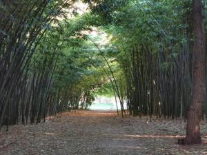 Pretty Holiday Home in Courry with Swimming Pool