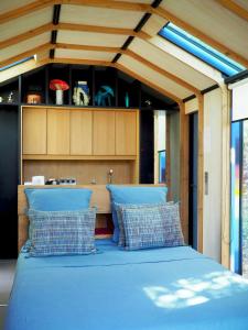 Designer Cabin With Shared Pool In Bras