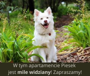 Plażowa Residence Apartament Pod Skocznią