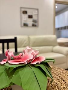 Vatican Walls Studio