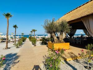 Hubix Suites - Casa del Mar C2 2