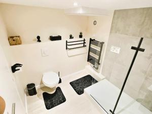 Appartements Studio cosy refait a neuf - proche aeroport et tram : photos des chambres