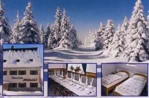 Pension Mikuláš v Krušných horách