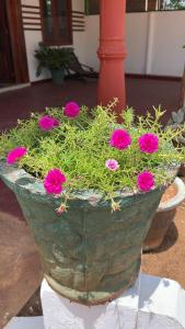 Anandas Beach Resort