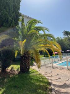 Hotels Hotel Residence Anglet Biarritz-Parme : photos des chambres