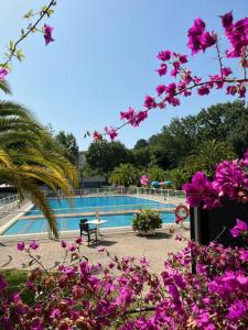 Hotels Hotel Residence Anglet Biarritz-Parme : photos des chambres