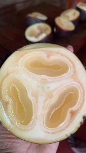 Anandas Beach Resort