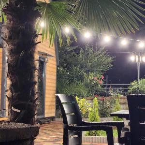 SEA Side-მზის მხარე- N 1