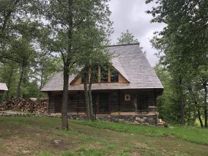 Poiana Creasta Cocoșului-Casa Floarea Soarelui