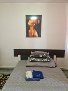 Apartament Geo
