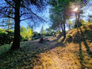 Villas Villa in Pouzols with Private Pool & Vineyards : photos des chambres