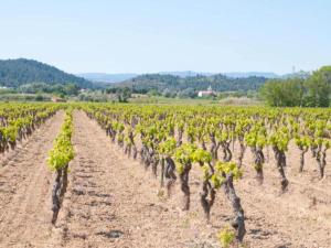 Villas Villa in Pouzols with Private Pool & Vineyards : photos des chambres