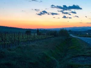 Villas Villa in Pouzols with Private Pool & Vineyards : photos des chambres