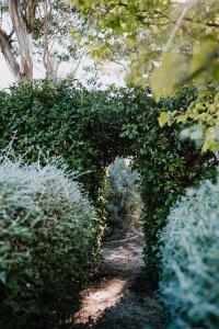 Little Vineyard Caboose